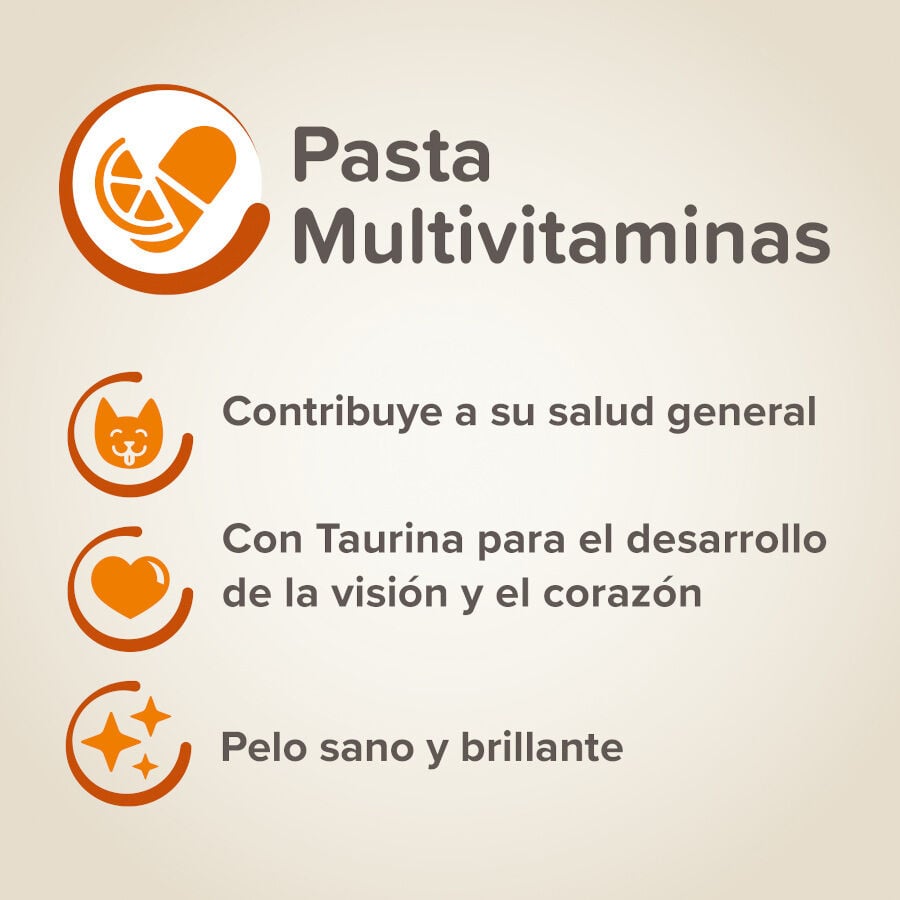 100 g Beaphar Multivitam&iacute;nico en Pasta para gatos, , large indicador imagen numero 4