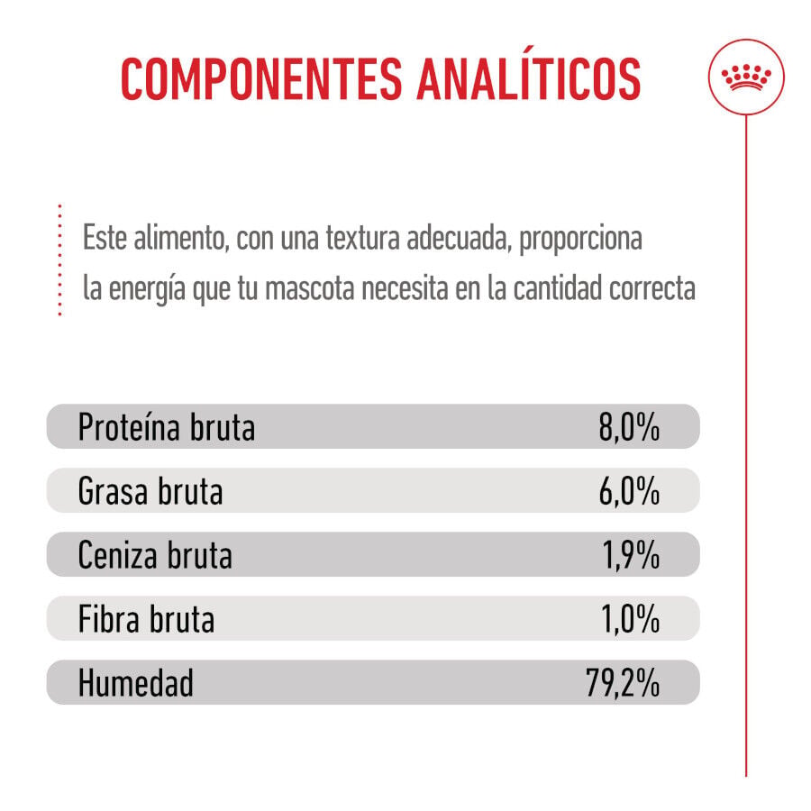 85 g Royal Canin Mini Puppy sobre en salsa, , large indicador imagen numero 8