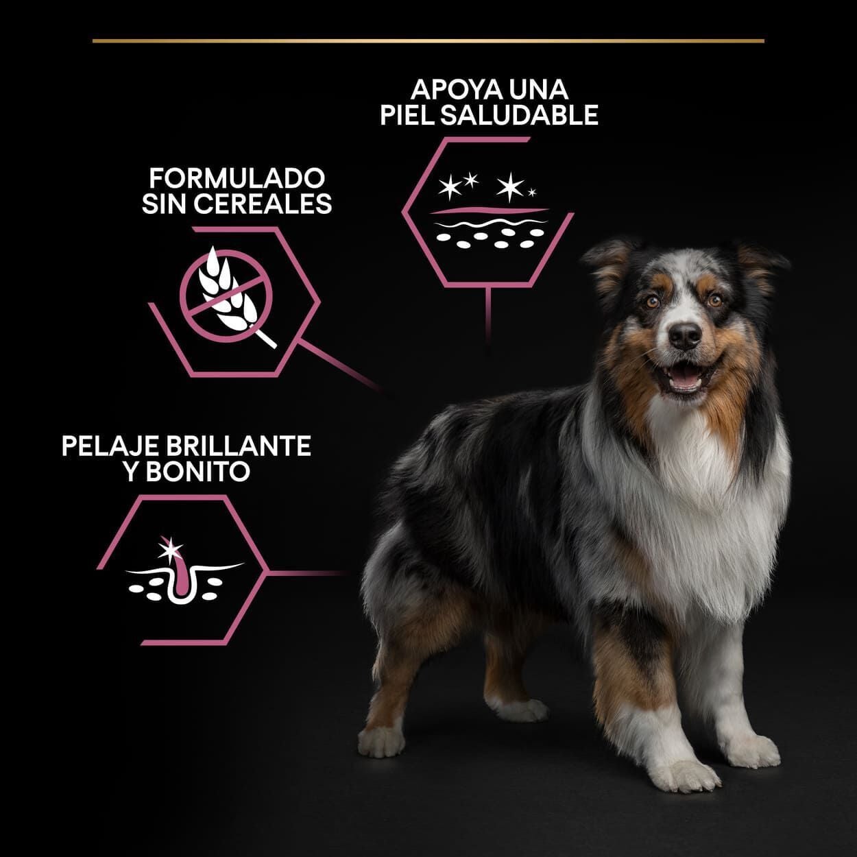 16.5 kg (14 + 2.5 kg &iexcl;gratis!) Pro Plan Adult Medium Sensitive Skin Salm&oacute;n pienso para perros, , large Imagen numero 3