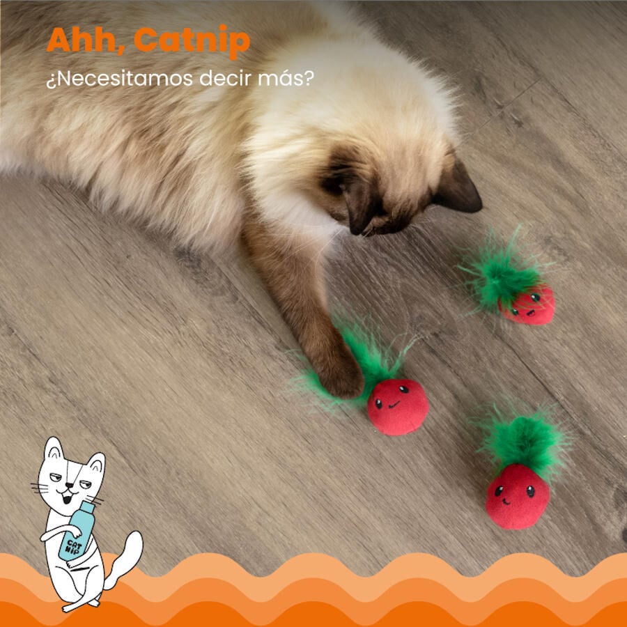 Catstages Strawbabies Peluche de Fresitas para gatos, , large Imagen numero 4