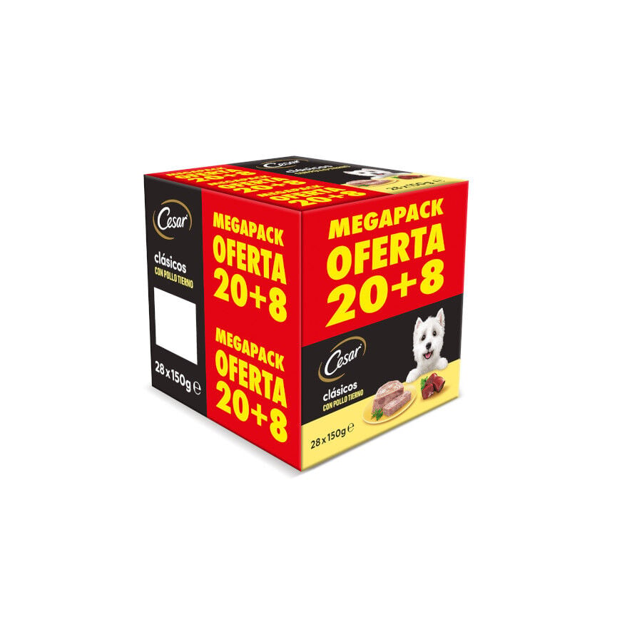 28 tarrinas x 150 g (20 + 8 tarrinas &iexcl;gratis!) Cesar Pollo e H&iacute;gado Tarrina en Pat&eacute; para Perros, , large Imagen numero 1