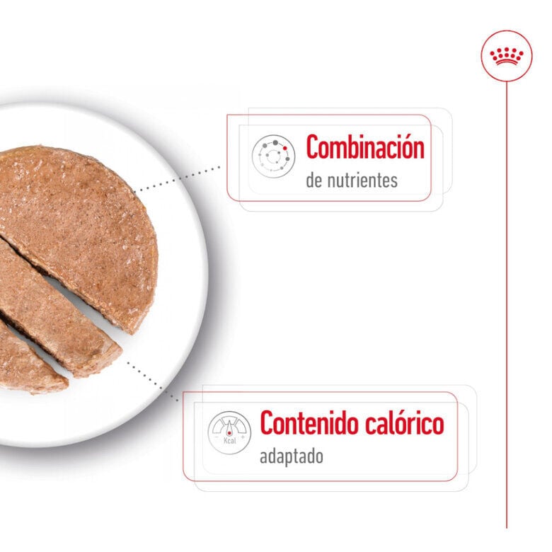 195 g Royal Canin Mini 8+ Ageing lata para perros&nbsp;senior, , large indicador imagen numero 3