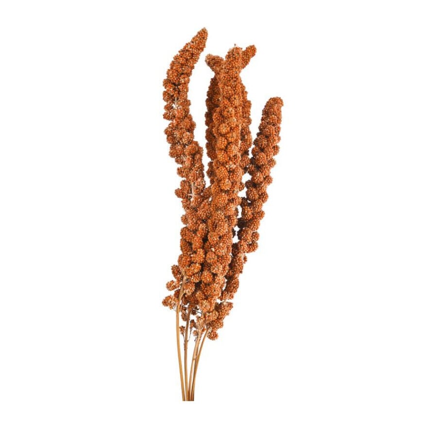 250 g Small life Snack Panizo Rojo para p&aacute;jaros, , large Imagen numero 2