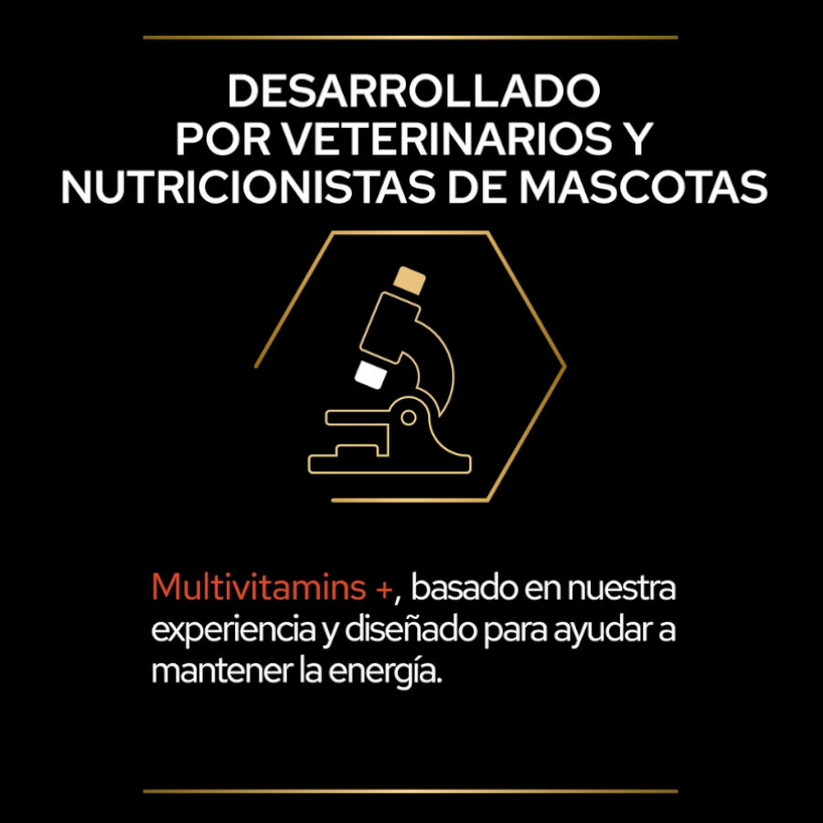 60 g Pro Plan Multivitamins + para gatos, , large Imagen numero 6