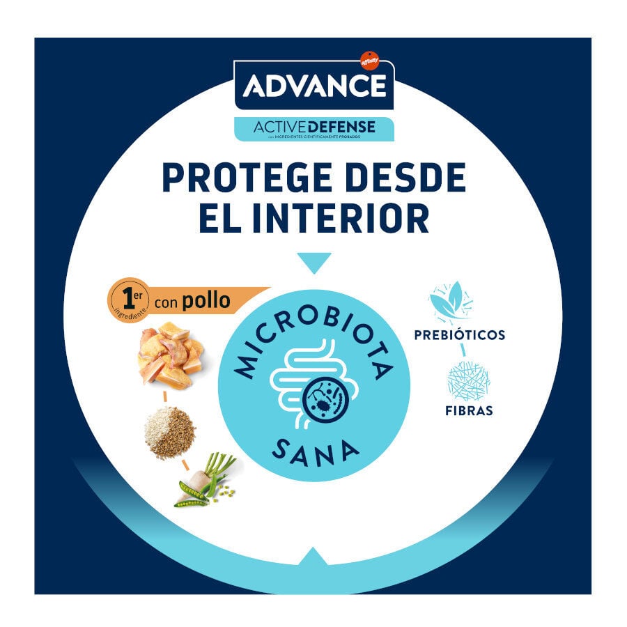 1.5 kg Advance Sterilized +10 pollo y cebada pienso para gatos, , large Imagen numero 7