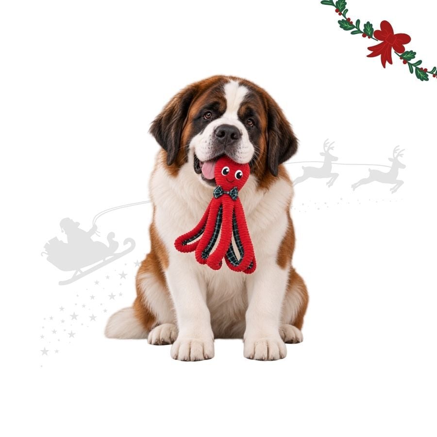 Wonder Christmas Pulpo XL Peluche para perros, , large indicador imagen numero 1