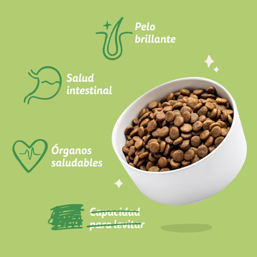 12 kg Edgard & Cooper Adult Cordero pienso para perros, , large Imagen numero 6