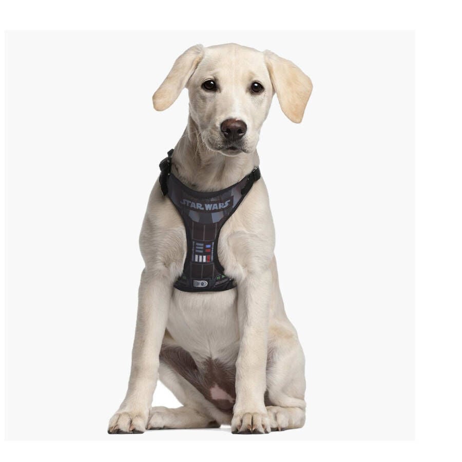 Disney Star Wars Arn&eacute;s Estampado para perros, , large indicador imagen numero 3