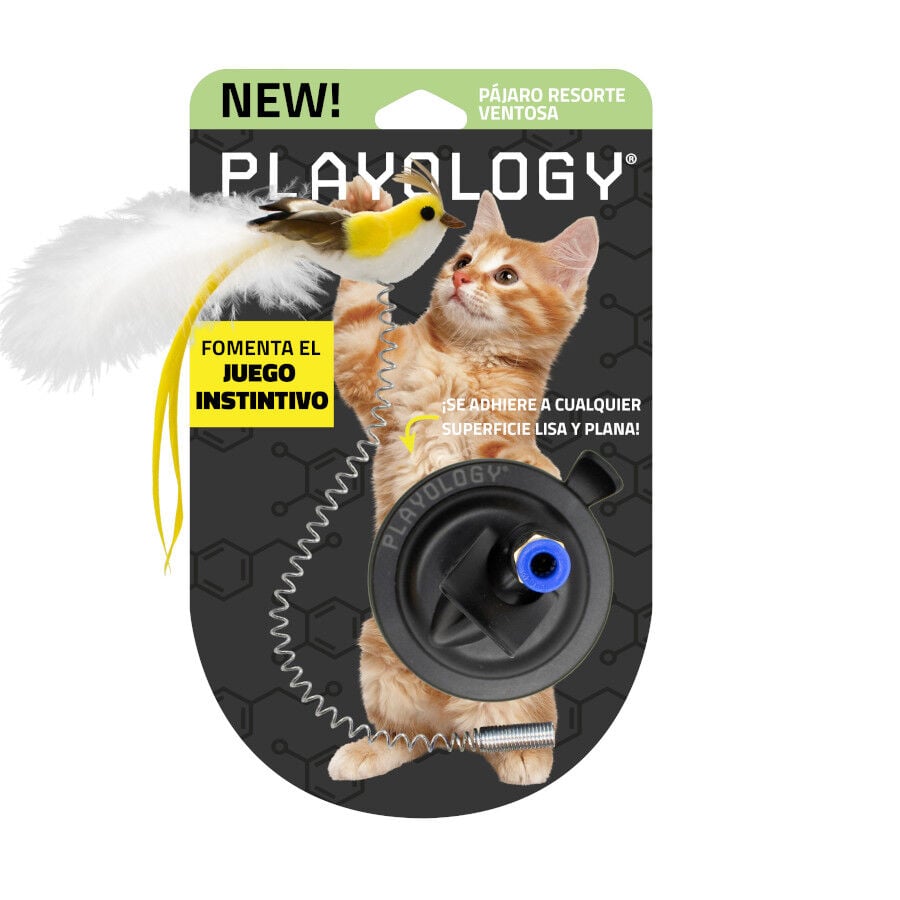 Playology Juguete Interactivo Se&ntilde;uelo P&aacute;jaro para gatos, , large indicador imagen numero 2