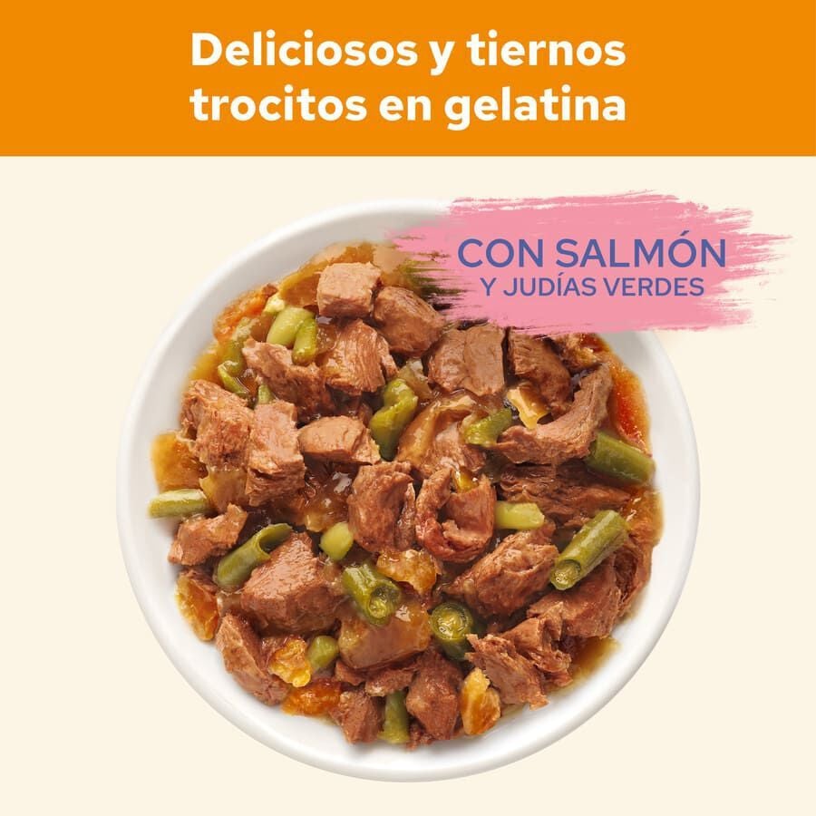 85 g Cat Chow Salm&oacute;n en Gelatina sobres para gatos, , large indicador imagen numero 3