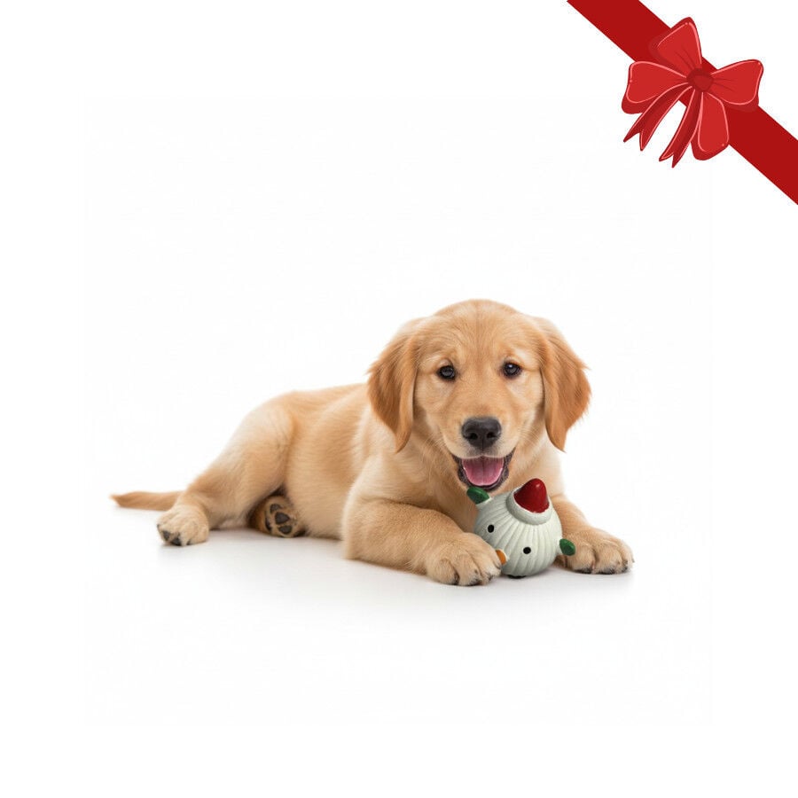 Wonder Christmas Pelota Navide&ntilde;a para perros, , large indicador imagen numero 1