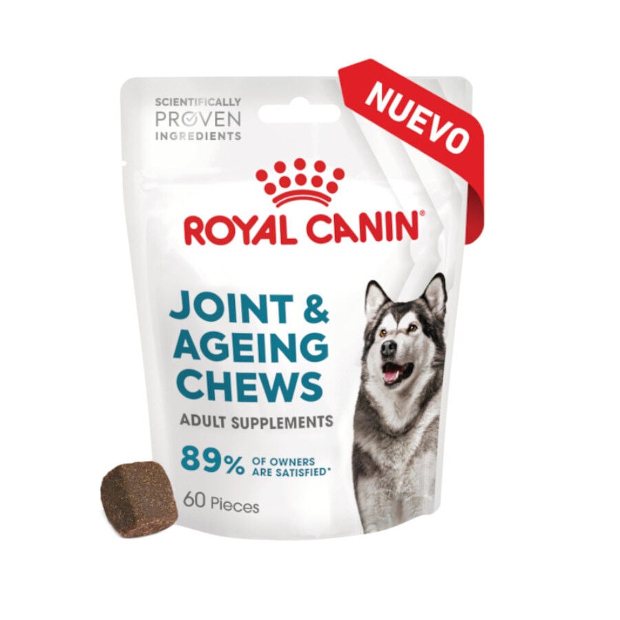 240 g Royal Canin Joint & Ageing Chews Suplemento Nutricional para perros senior, , large Imagen numero 2