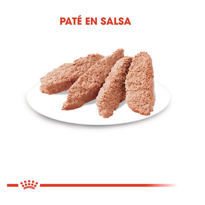 85 g Royal Canin Instinctive pat&eacute; sobre para gatos, , large indicador imagen numero 3