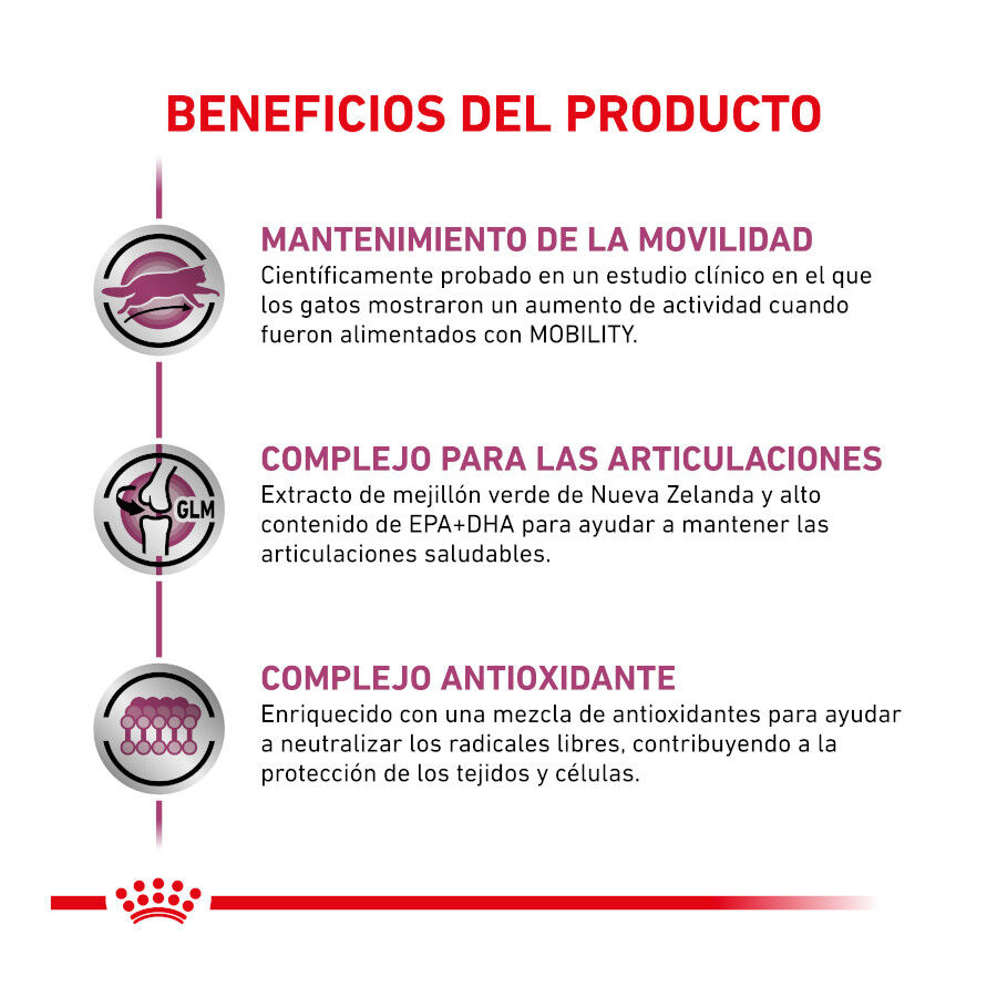 2 kg Royal Canin Veterinary Mobility pienso para gatos, , large Imagen numero 4