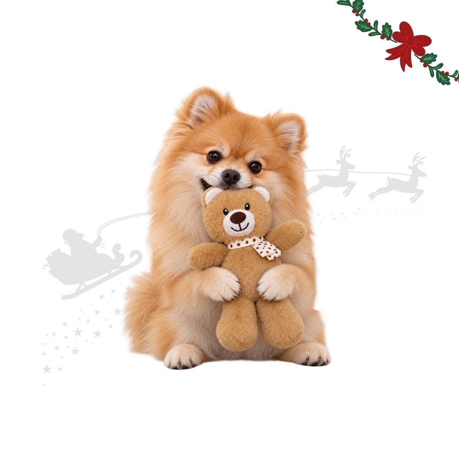 Wonder Christmas Oso Caramelo Peluche para perros, , large indicador imagen numero 1