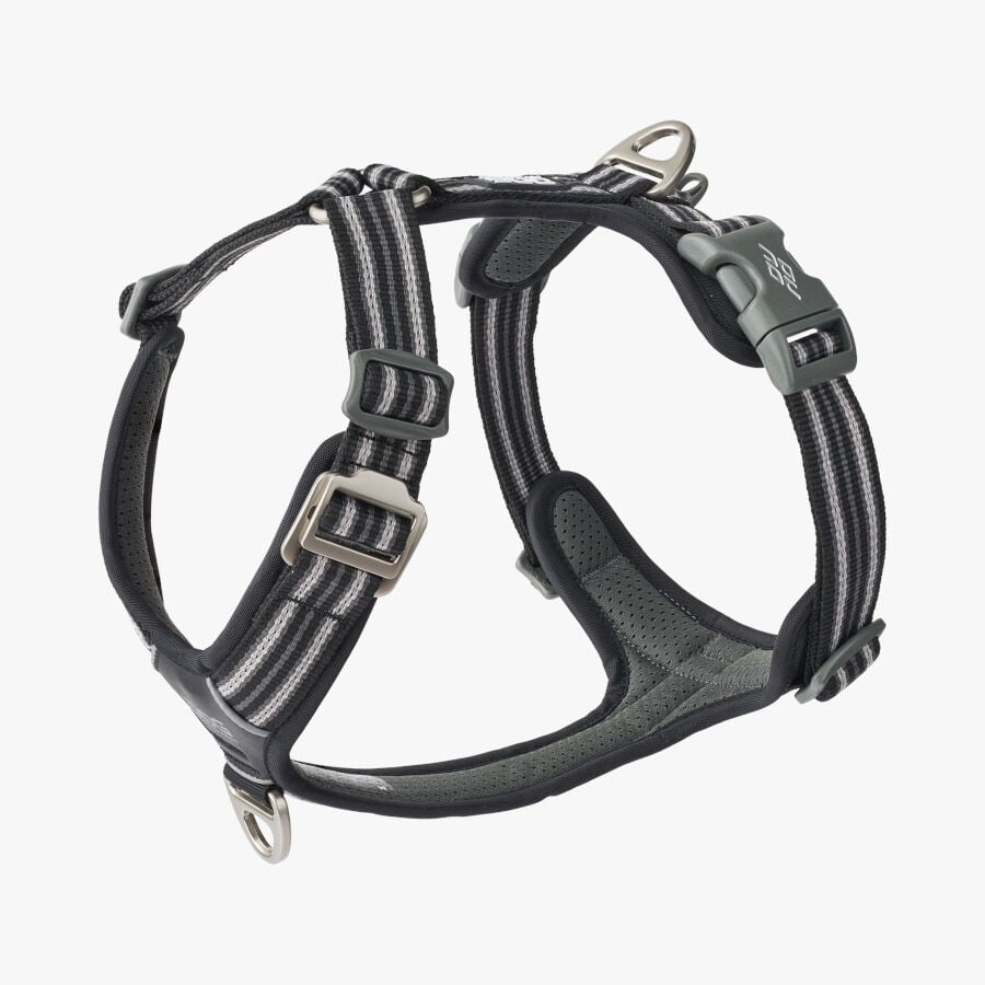Dog Copenhagen Comfort Walk Air Arn&eacute;s Negro para perros, , large Imagen numero 1