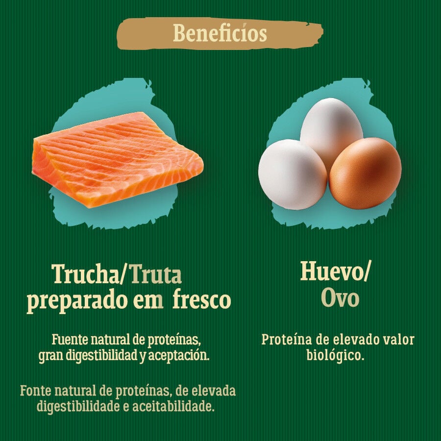 6 kg True Origins Wild Ocean River Salm&oacute;n y Trucha pienso para gatos, , large Imagen numero 5