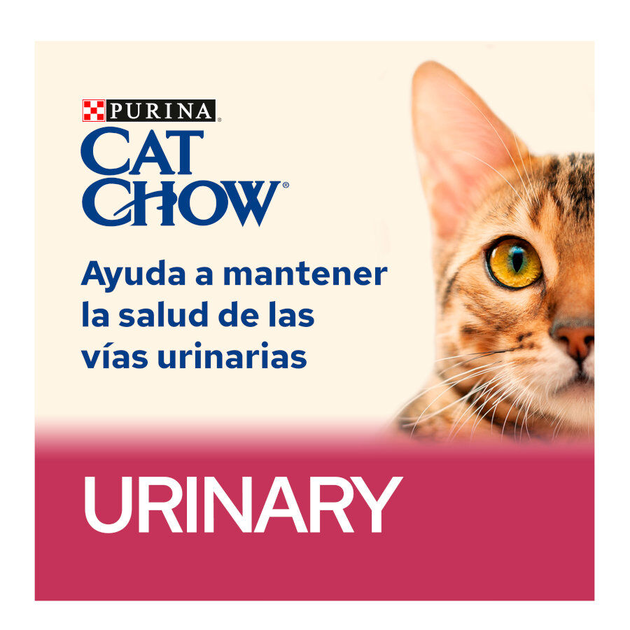 15 kg Cat Chow Urinary Tract Health Pollo Pienso, , large Imagen numero 3