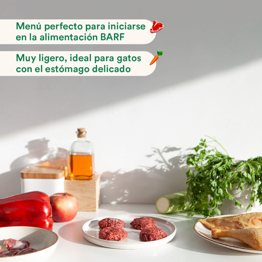 1 kg Wild Balance Men&uacute; Barf salm&oacute;n pavo y verduras comida congelada para gatos, , large Imagen numero 4