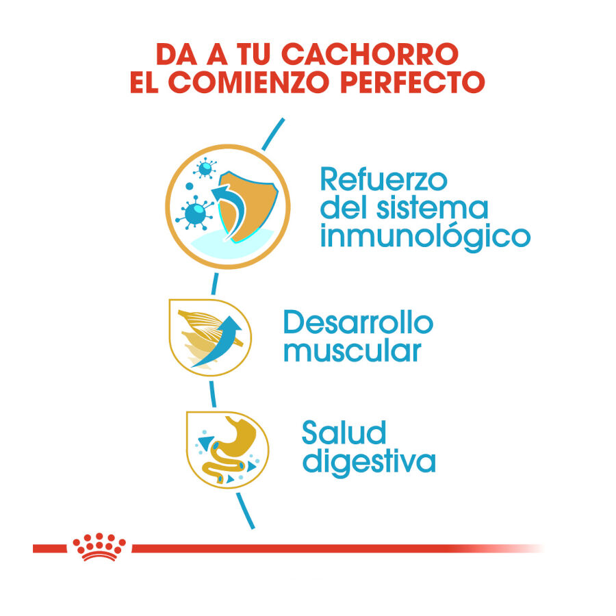 12 kg Royal Canin Puppy Boxer pienso para perros, , large indicador imagen numero 7