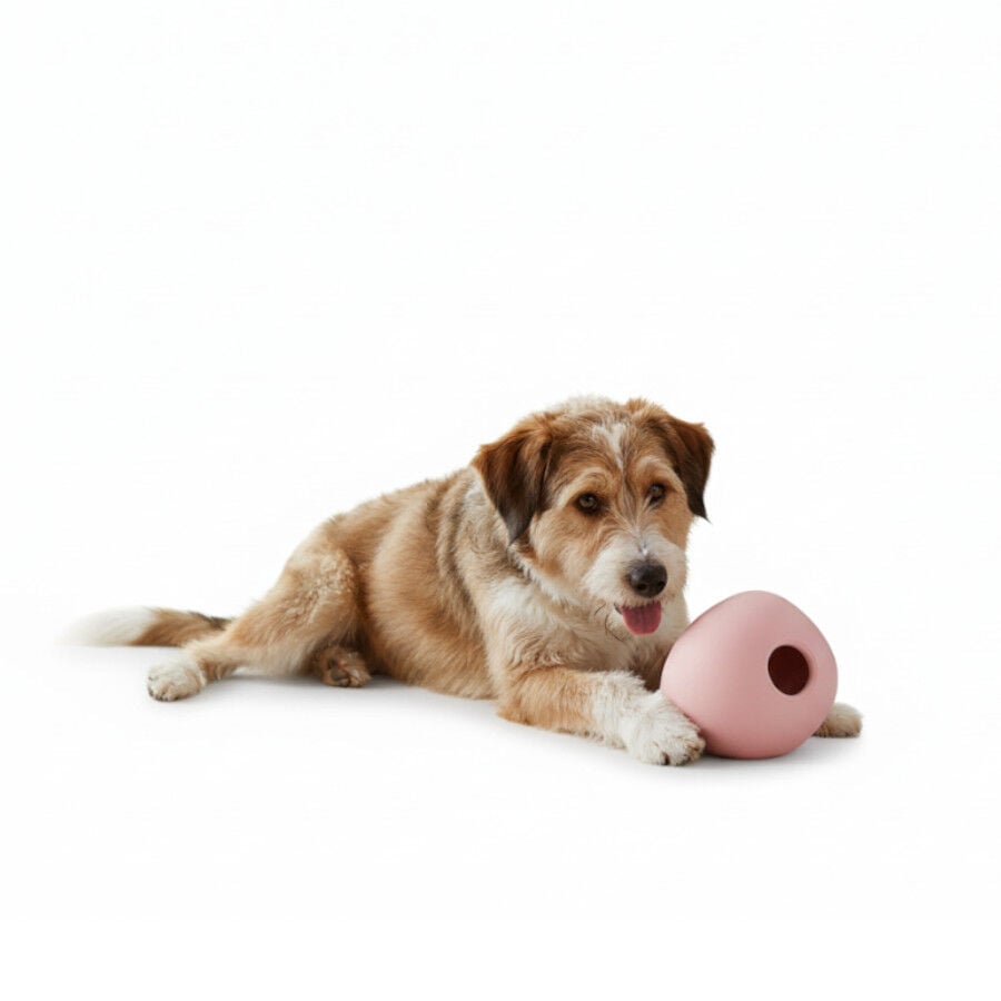 BECO Pelota Portagolosinas de Goma Rosa para perros