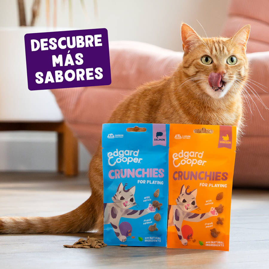 50 g Edgard & Cooper Galletas Crunchies Pollo para gatos, , large Imagen numero 7