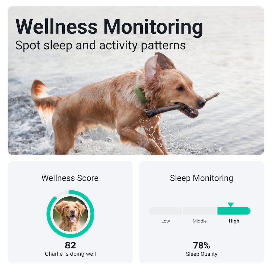 Tractive GPS Localizador XL para perros, , large Imagen numero 4