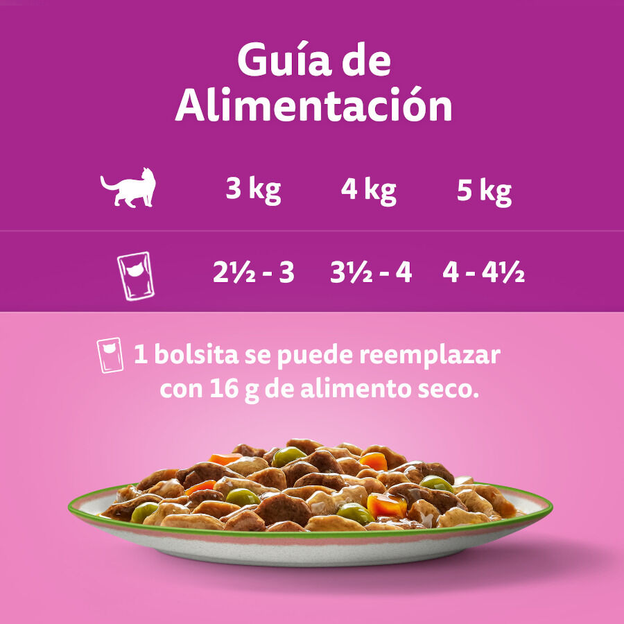 48 sobres x 85 g Whiskas Tasty Mix Selecci&oacute;n del Chef en Salsa sobre para gatos, , large indicador imagen numero 2