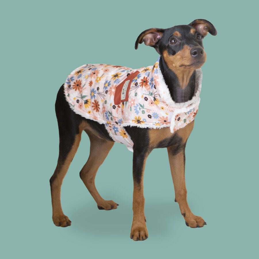 Outech Spring abrigo de flores para perros, , large Imagen numero 2