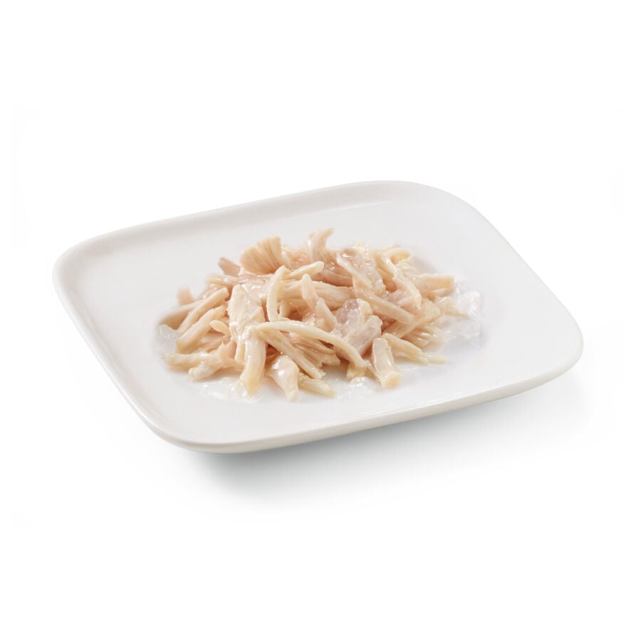 150 g Schesir Adult pollo en gelatina lata para perros, , large Imagen numero 2