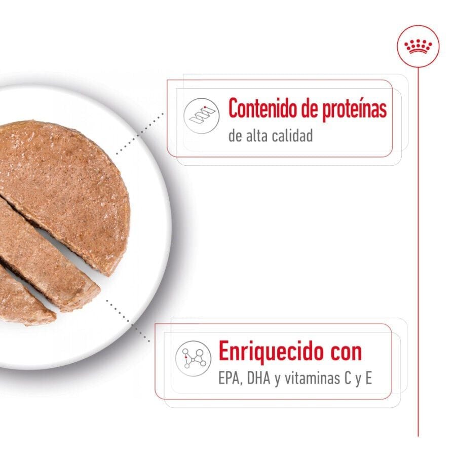 410 g Royal Canin Medium 7+ Ageing lata para perros&nbsp;senior, , large Imagen numero 2