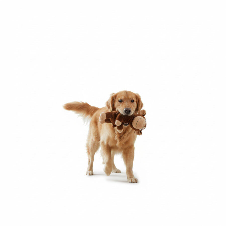 All For Paws Ultrasonic Juguete Mono Hypno para perros, , large indicador imagen numero 3