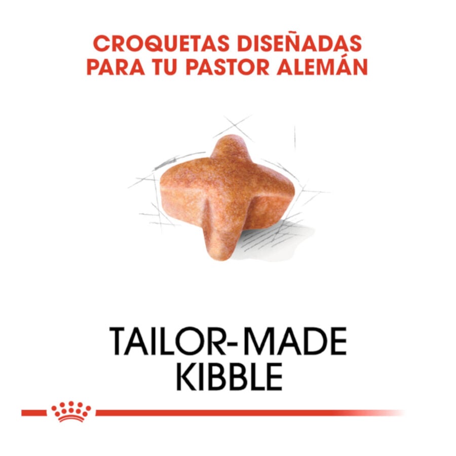 11 kg Royal Canin Adult Pastor Alem&aacute;n pienso para perros, , large indicador imagen numero 5