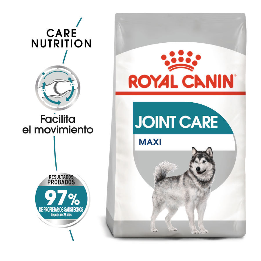 10 kg Royal Canin Joint Care Maxi pienso para perros, , large Imagen numero 1