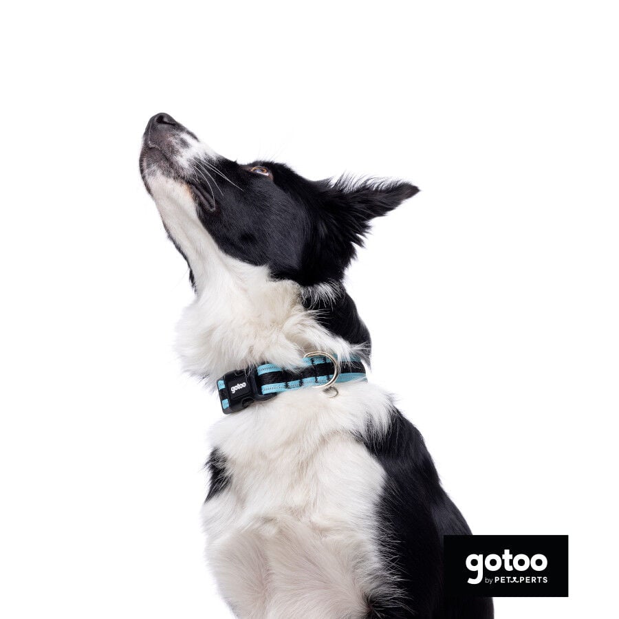 Gotoo collar de malla transpirable turquesa para perros, , large indicador imagen numero 3