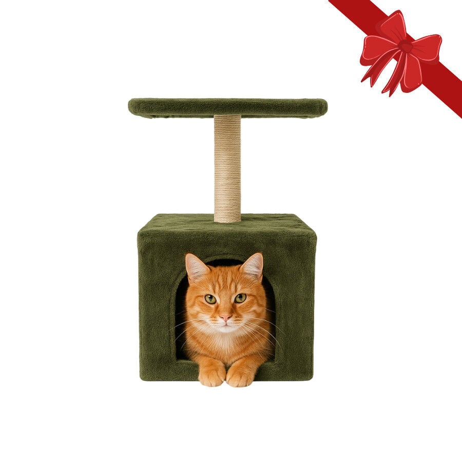 Wonder Christmas Rascador con Poste de Sisal Navide&ntilde;o para gatos, , large Imagen numero 1