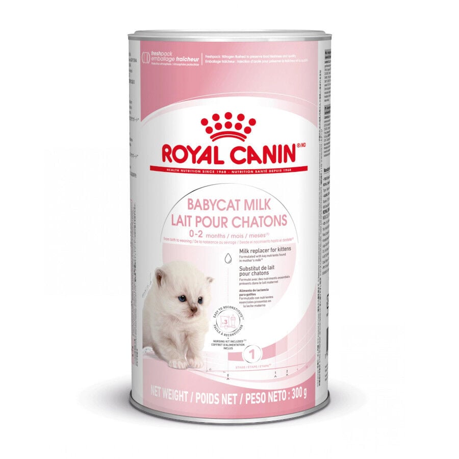 300 g Royal Canin Leche para gatitos primer a&ntilde;o, , large indicador imagen numero 1