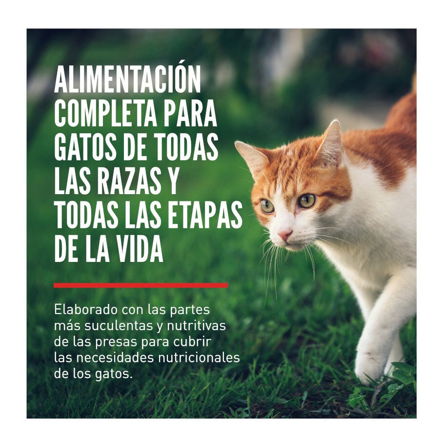 5.4 kg Orijen Fit&Trim pienso para gatos, , large indicador imagen numero 2