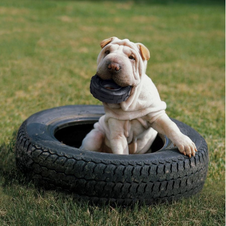 Kong Extreme Traxx neum&aacute;tico mordedor para perros, , large indicador imagen numero 2