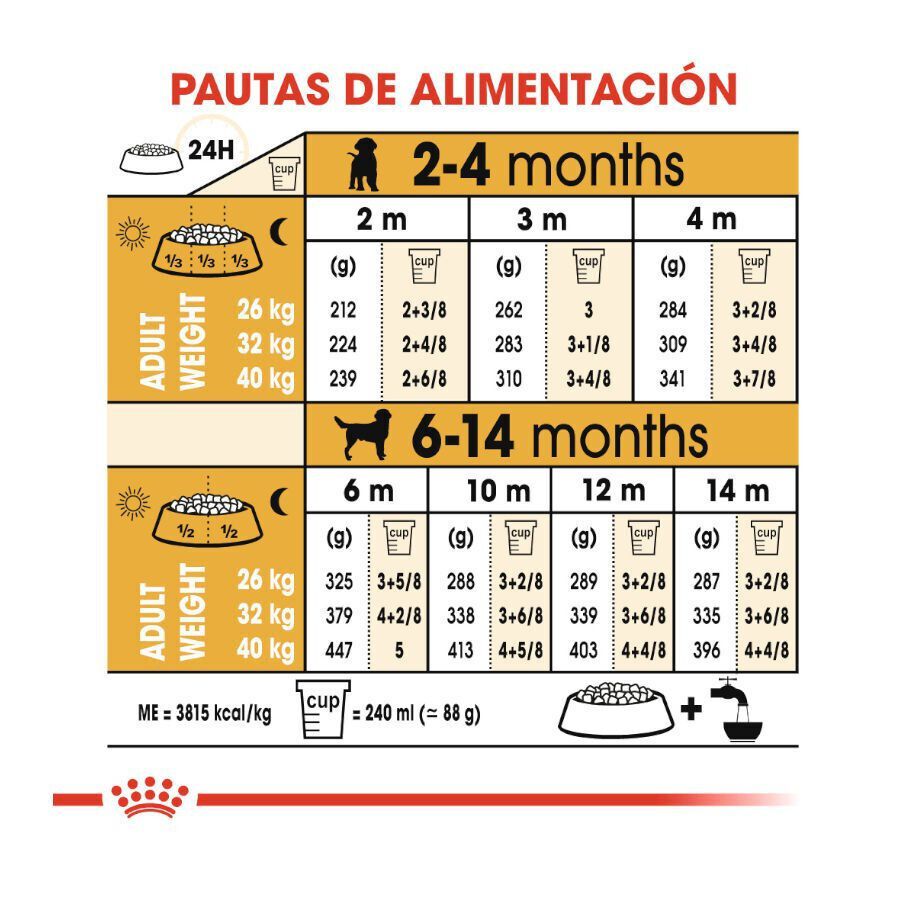 12 kg Royal Canin Puppy Labrador Retriever pienso para perros, , large Imagen numero 9