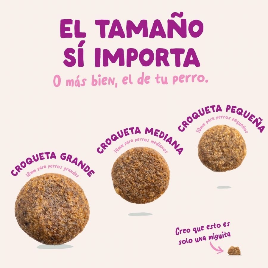12 kg Edgard & Cooper Puppy Pato y Pollo pienso para perros grandes, , large indicador imagen numero 5