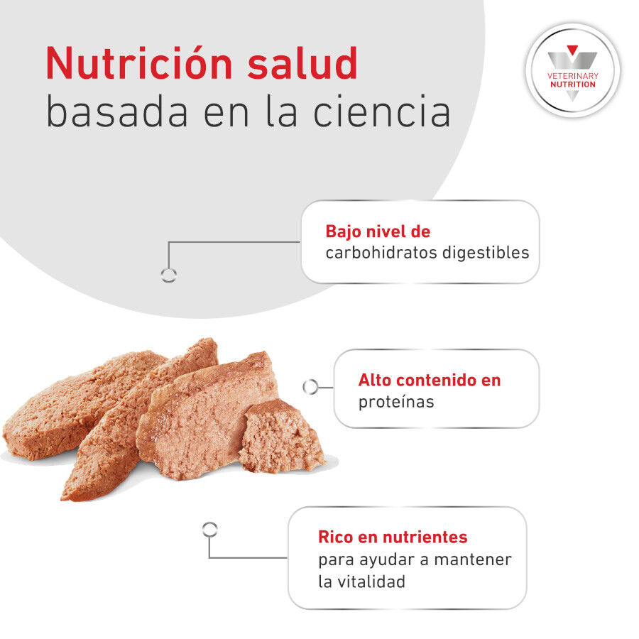 410 g Royal Canin Veterinary Diabetic latas para perros, , large indicador imagen numero 6
