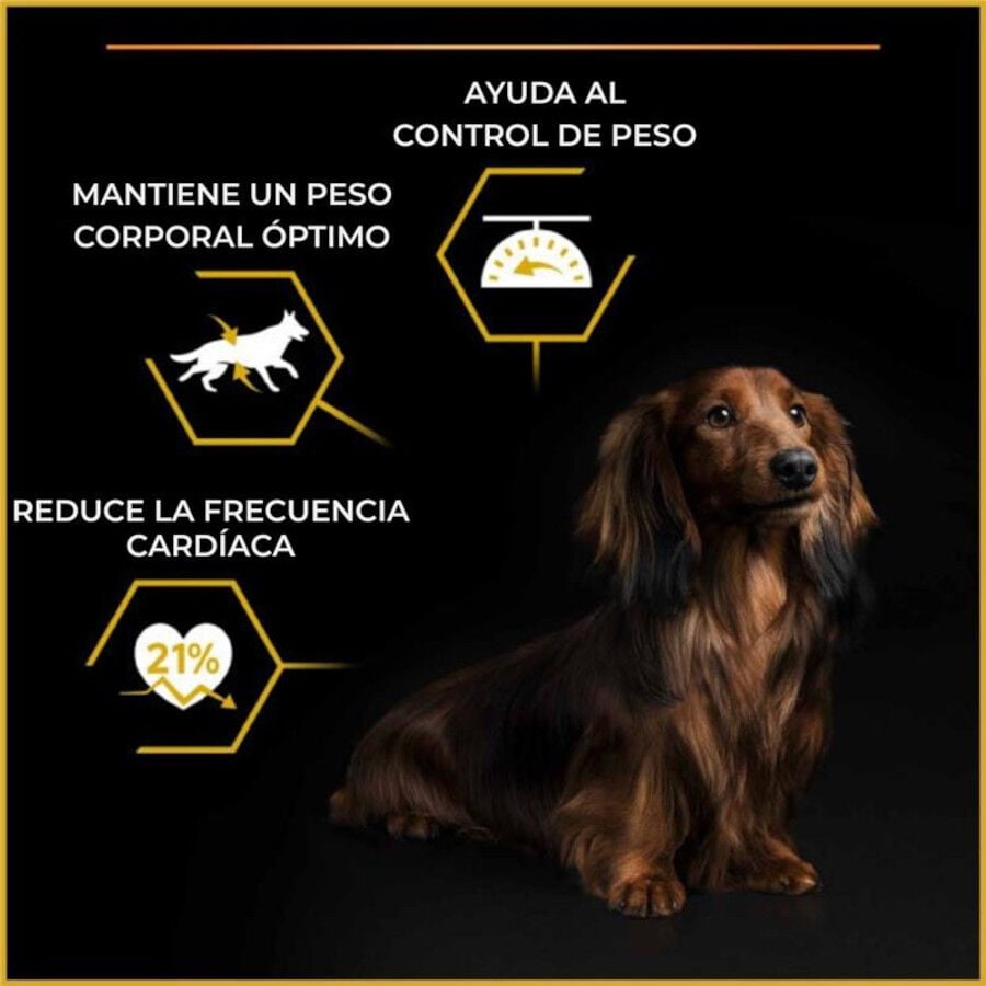 Purina Pro Plan Adult Light Esterilizado Pienso Pollo para perros, , large indicador imagen numero 4