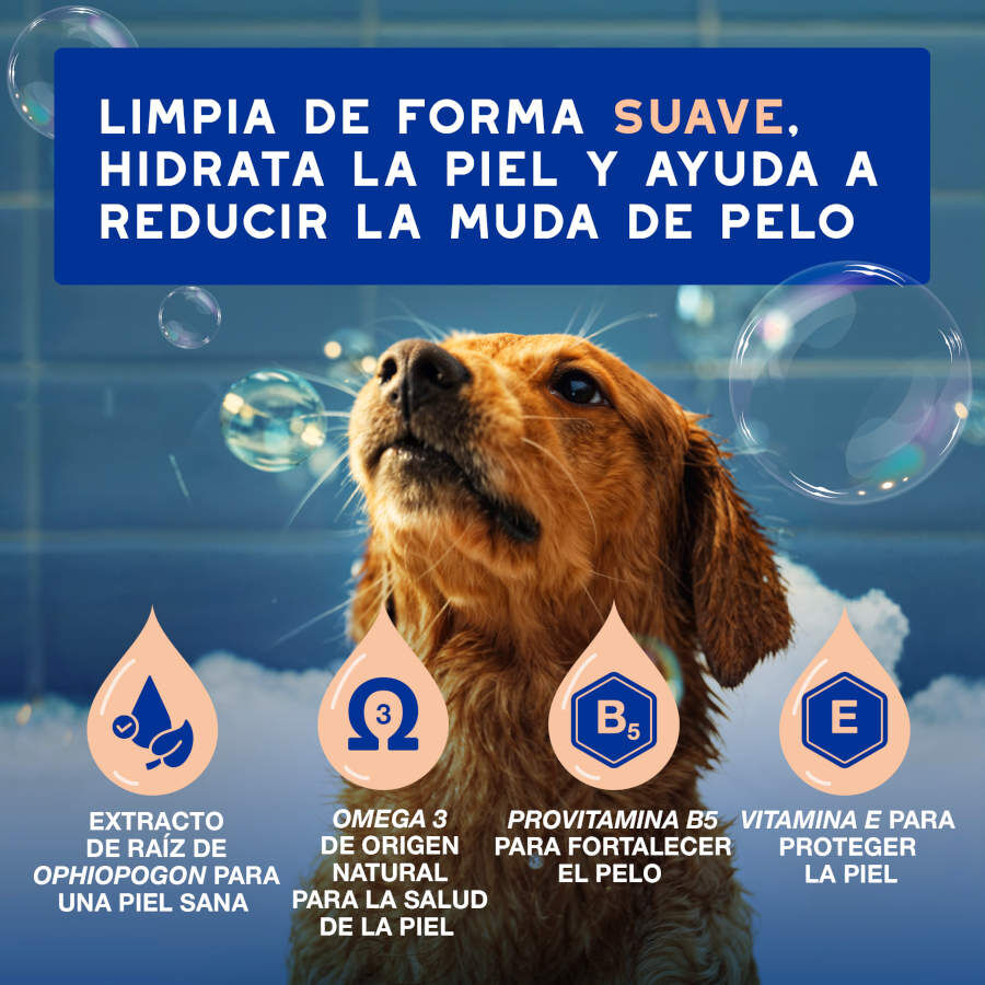 Ceva Douxo Spa Champ&uacute; Control de Muda para perros, , large Imagen numero 8