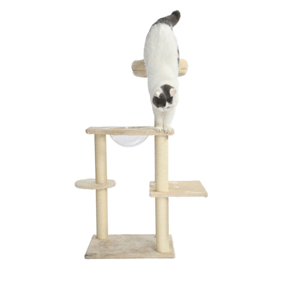 Leeby Luna &aacute;rbol rascador con cama y juguete para gatos, , large indicador imagen numero 4