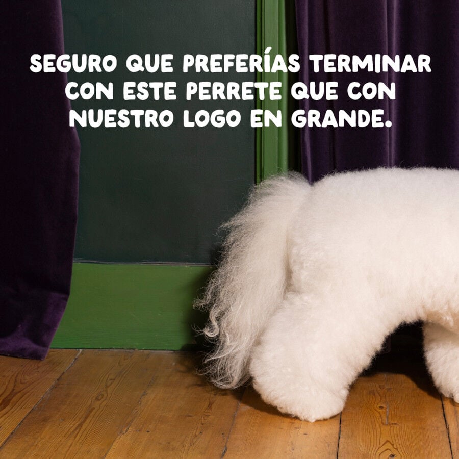 7 kg Edgard & Cooper Adult Bio Pavo pienso para perros, , large indicador imagen numero 10
