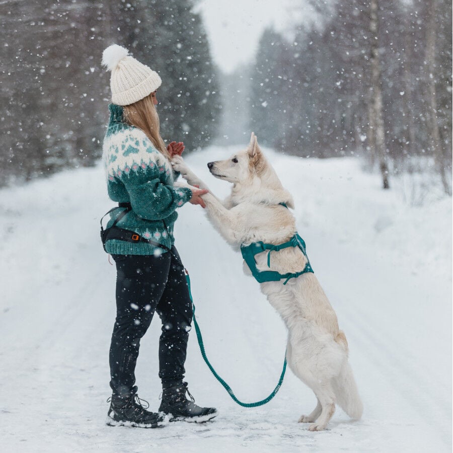 Non-stop Dogwear Arn&eacute;s Largo Azul y Verde para perros, , large indicador imagen numero 4