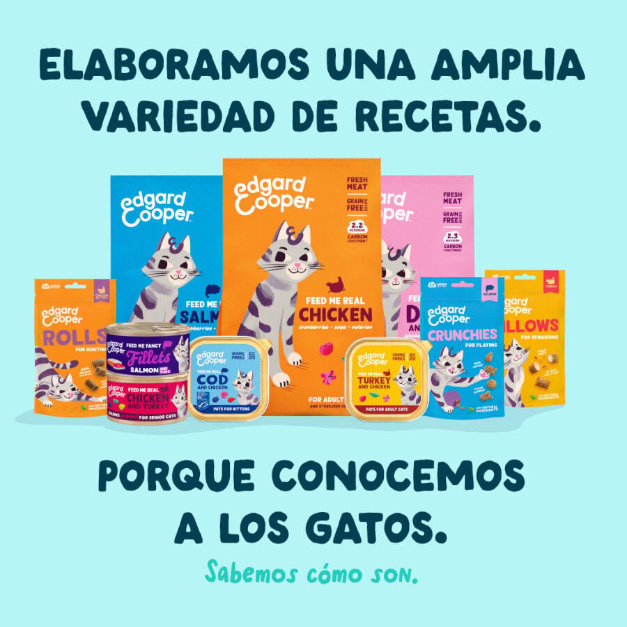 70 g Edgard & Cooper Filetes de At&uacute;n y Gambas lata para gatos, , large indicador imagen numero 9
