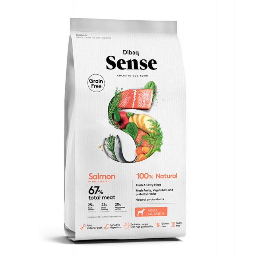 Dibaq Sense Grain Free Adult Salm&oacute;n pienso para perros