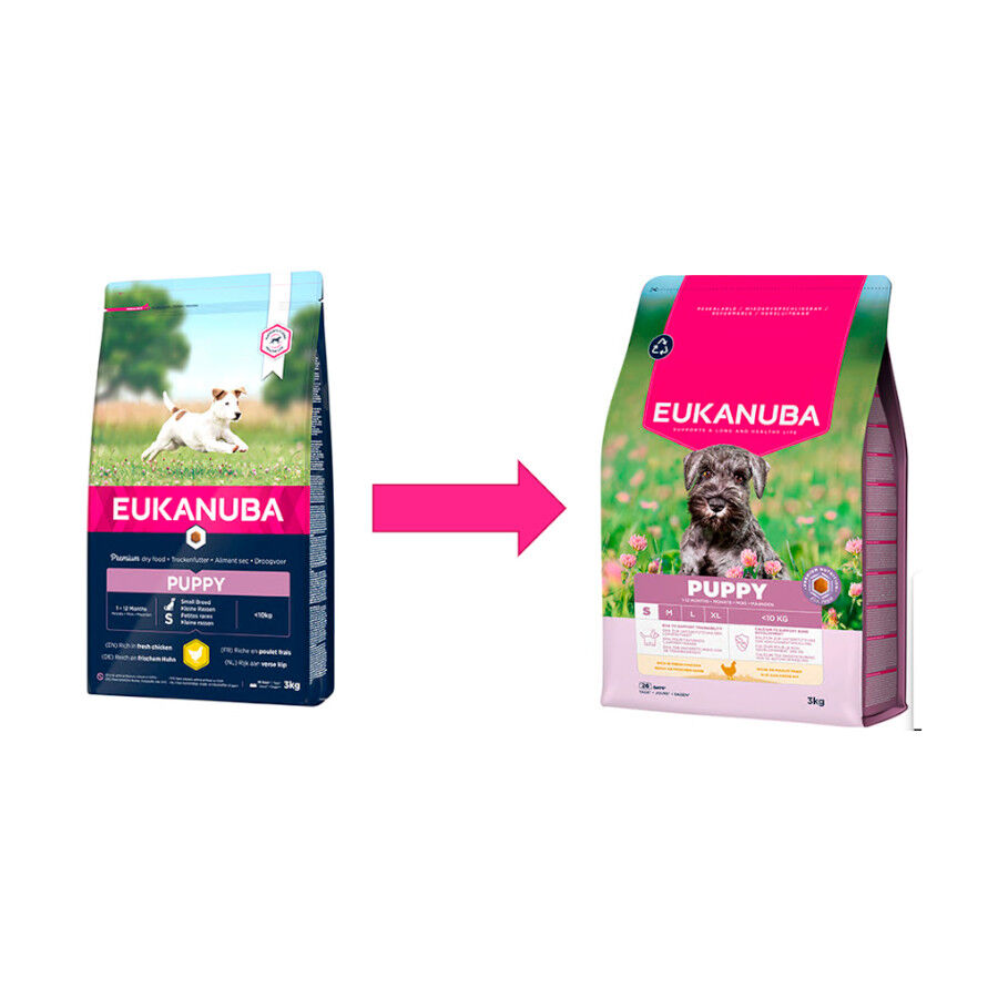 3 kg Eukanuba Puppy Pollo pienso para perros de raza peque&ntilde;a, , large indicador imagen numero 2